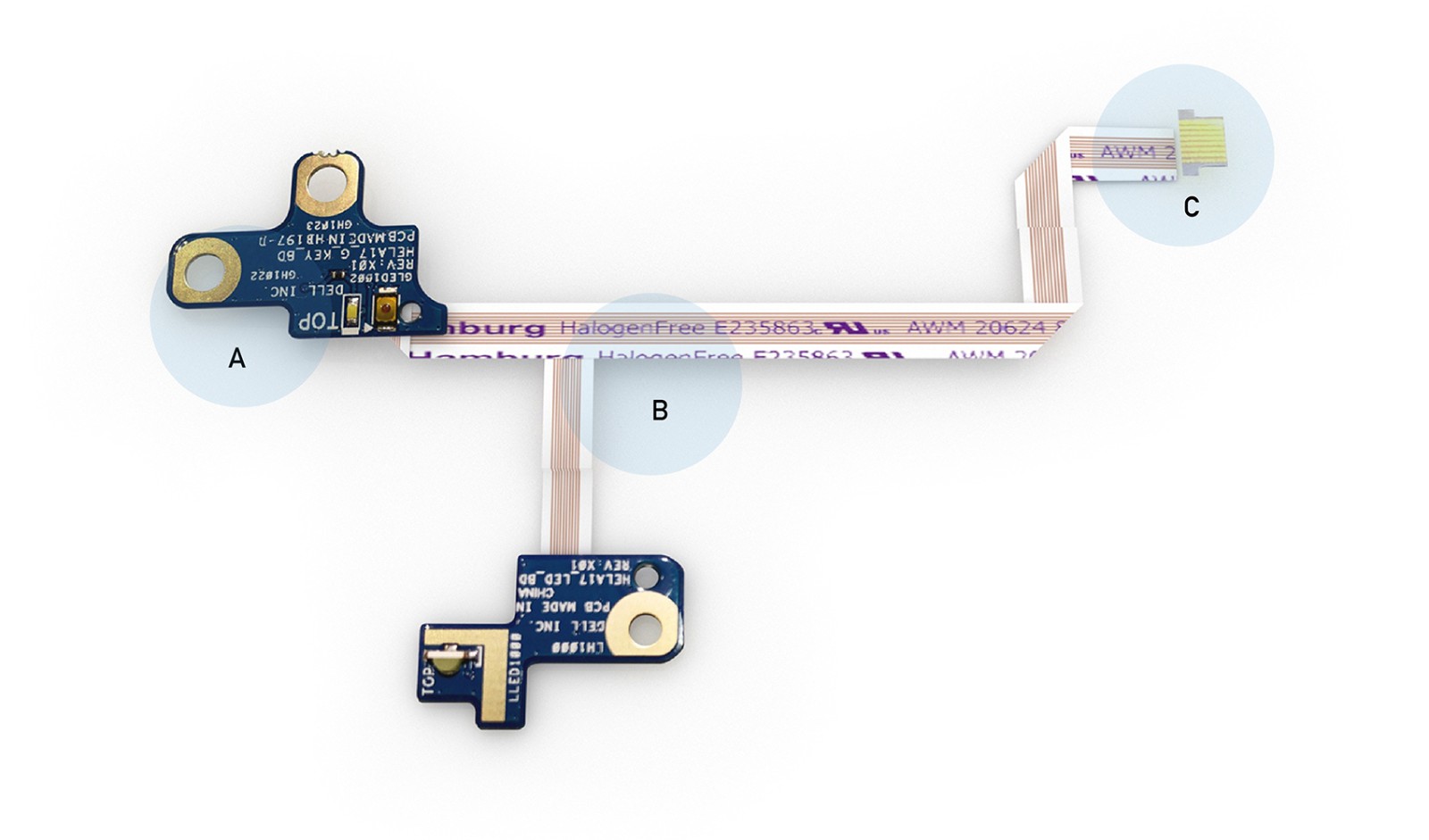 Customize FFC Module with PCB board module - 漢保實業股份有限公司(HAMBURG)